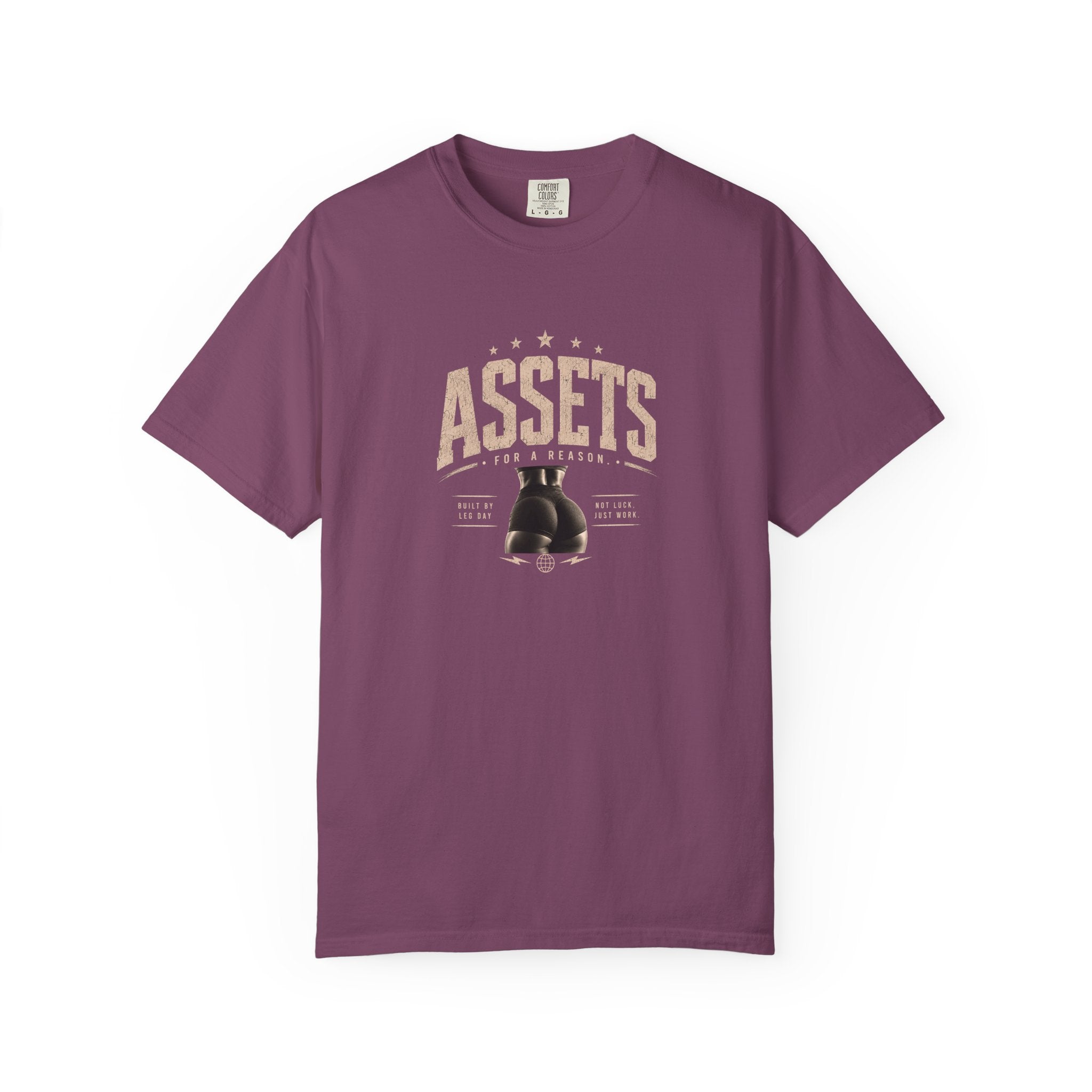 Assets Boxing Gloves T-Shirt — Vintage Gym Tee for Fighters & Fitness Fans
