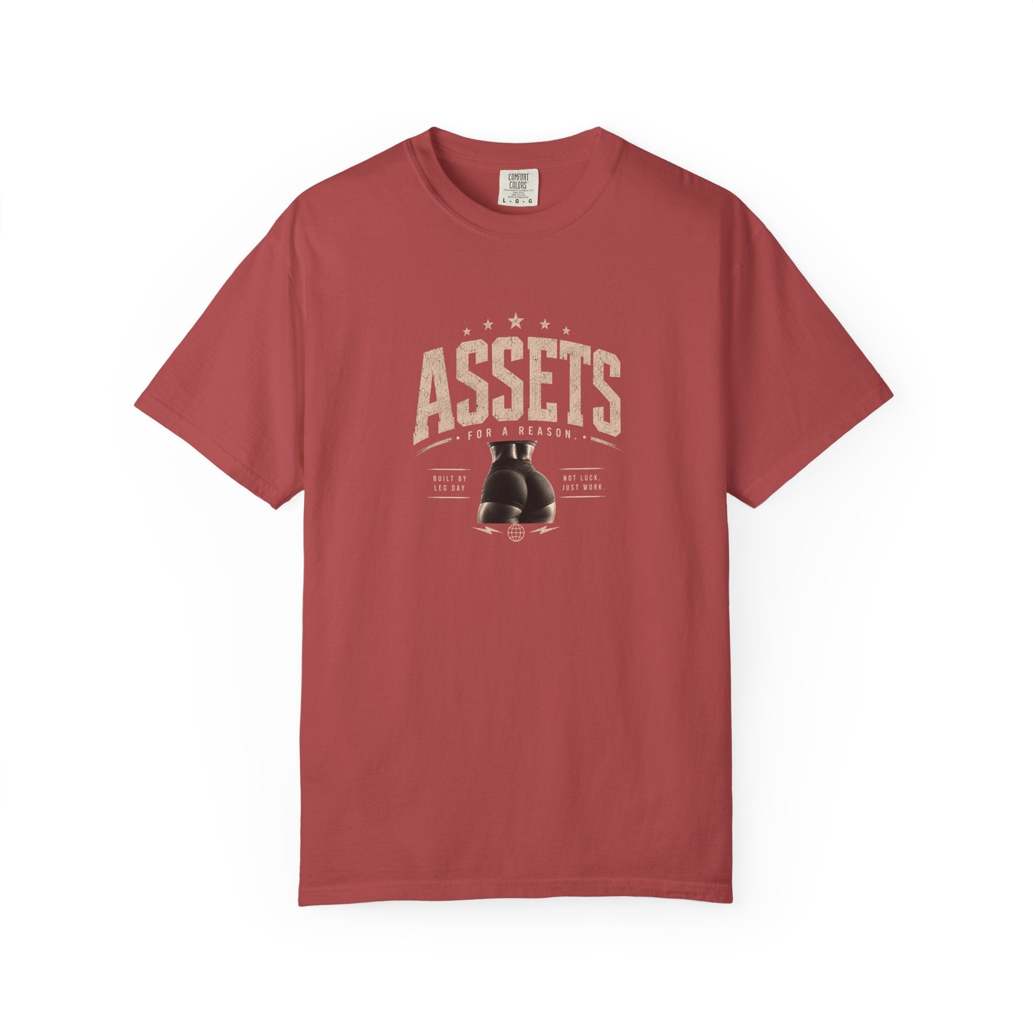 Assets Boxing Gloves T-Shirt — Vintage Gym Tee for Fighters & Fitness Fans