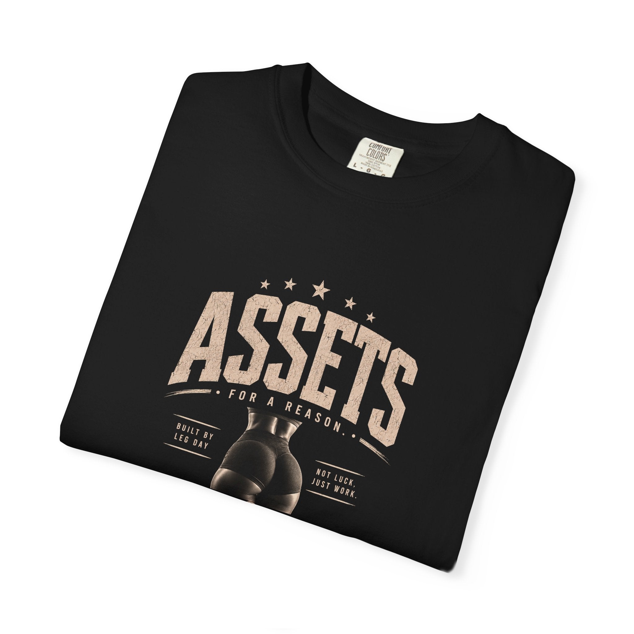 Assets Boxing Gloves T-Shirt — Vintage Gym Tee for Fighters & Fitness Fans