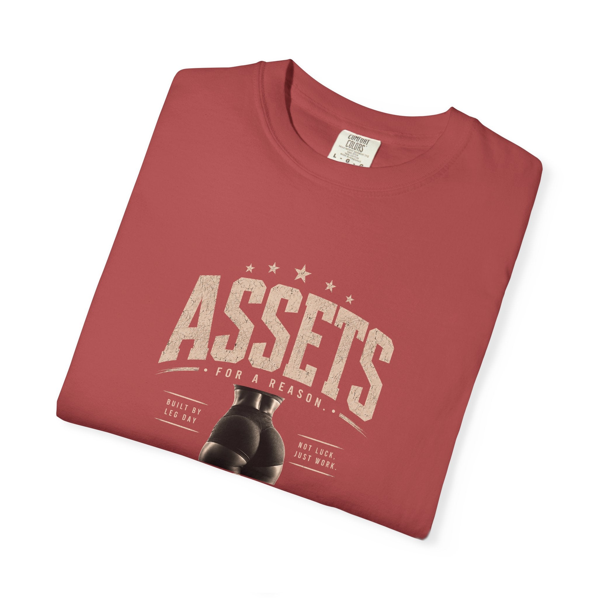 Assets Boxing Gloves T-Shirt — Vintage Gym Tee for Fighters & Fitness Fans